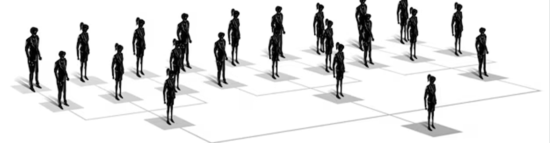 collection-banner